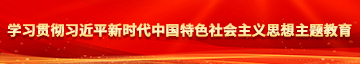 少萝宝贝艹视频没有马赛克学习贯彻习近平新时代中国特色社会主义思想主题教育